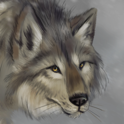 Wolvensoul's Art